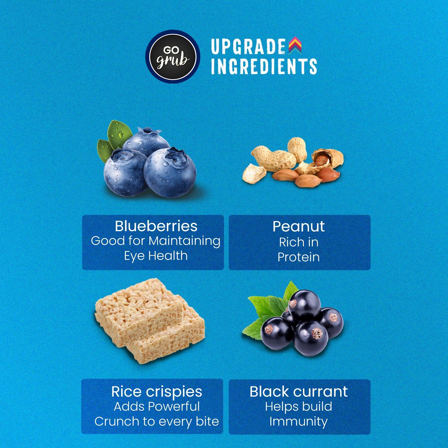 Go Grub Go Grub - Peanut Blueberry Snack Bar | Crunchy Energy Bars with Whole Nuts, Real Dried Berries | No Preservatives | 100% Vegetarian | Healthy Breakfast, Evening & Midnight Snack | Pack of 10