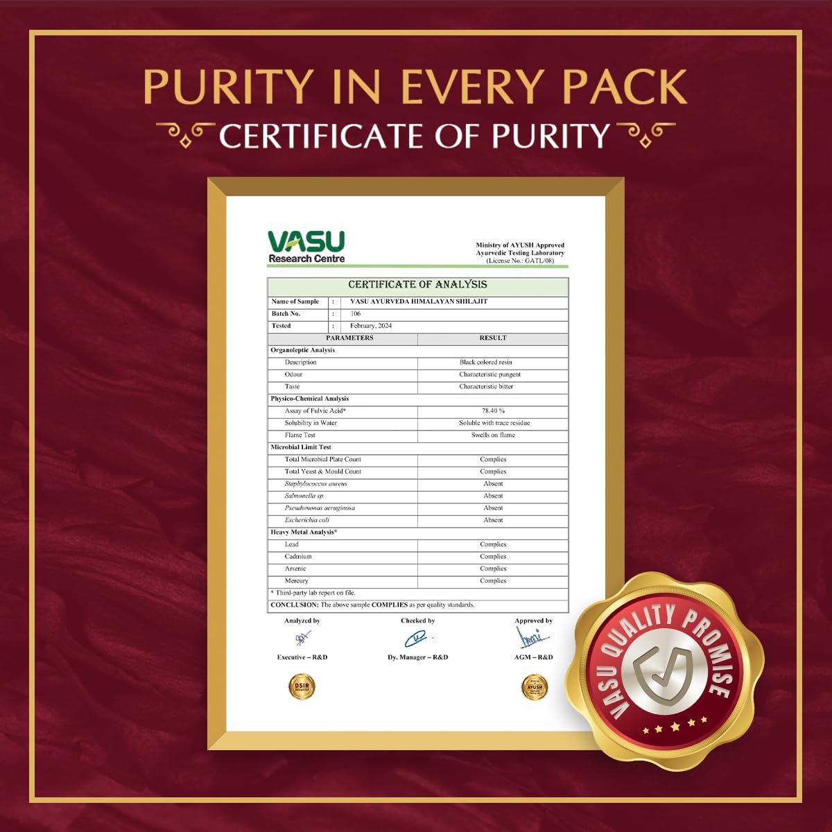 VASU VASU Ayurveda Pure Himalayan Shilajit Original Resin | Provides Energy & Strength | Powerful Anti-oxidant | Immunity Booster - 20g