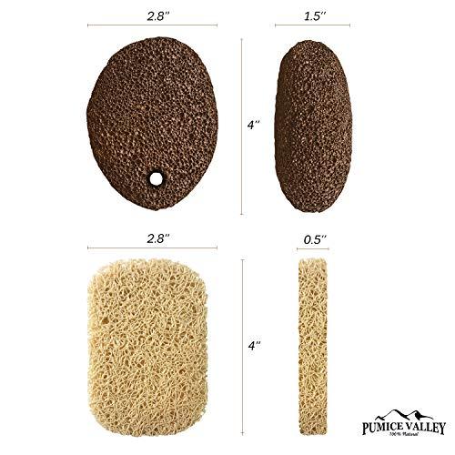 Pumice Valley Pumice Stone for Feet - Natural Lava Foot Stone with New Eco-Friendly Holder - Callus Warts Corn Removal - Pedicure Exfoliator for Dry Dead Skin | Heels | Elbows | Hands - Healthy Foot Care Scrubber