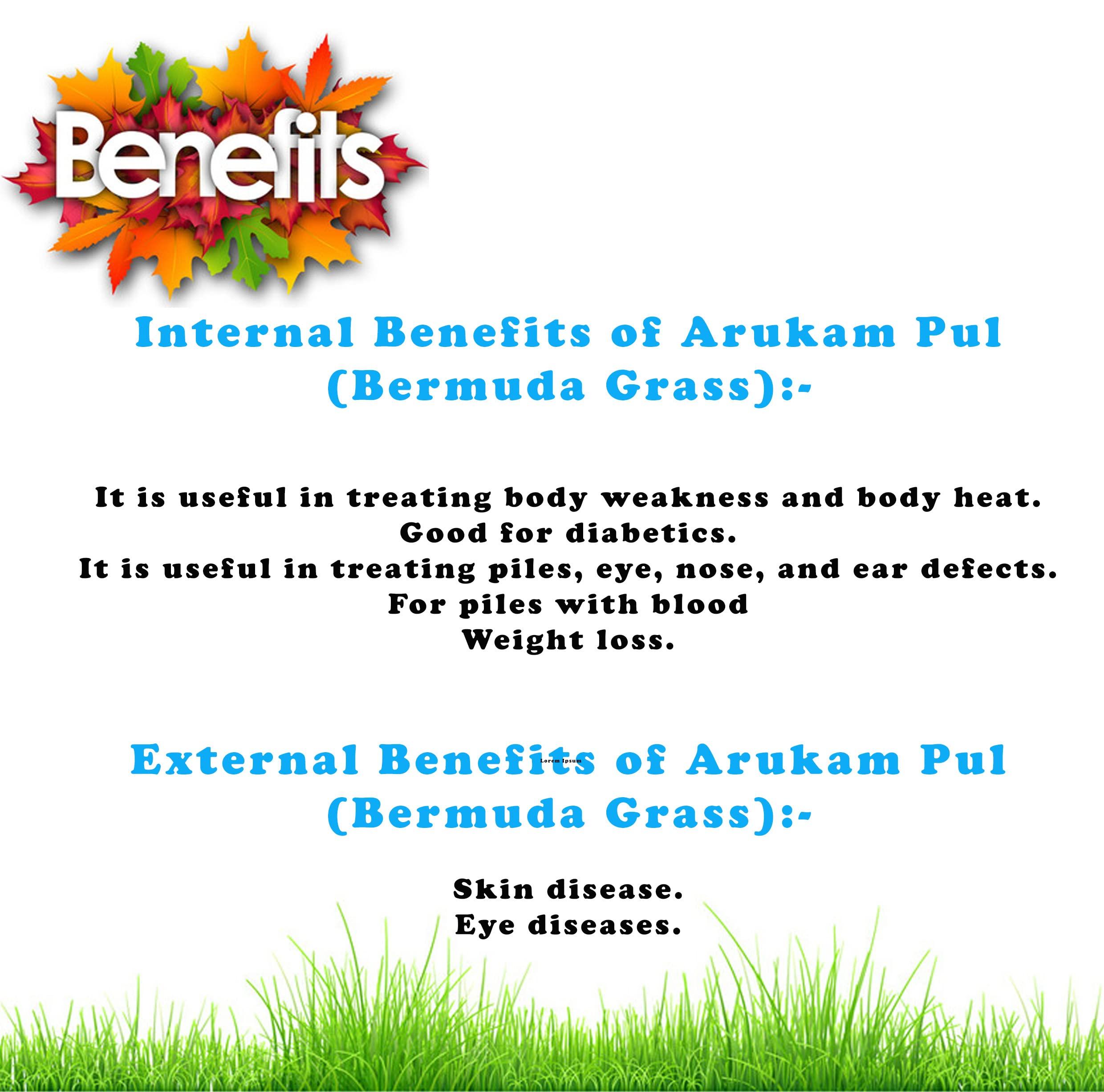 DIETS ORGANICS DIETS Organics Arukam pul powder, Bermuda Grass Powder 250 gms pack of 1