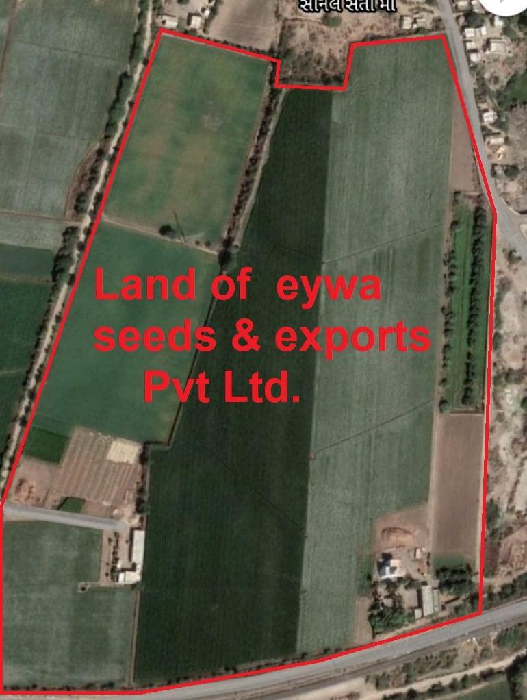 G7 GRAINS BLACK WHEAT FLOUR (5 KG) for eating and cooking | kale gehu ka atta | Produce of India from Organic Farms | BY G7 GRAINS