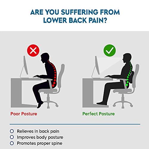 Elegant Elegant Memory Foam Slim Full Active Back Support Car Pillow Compatible with Hyundai Santro Xing (Black)