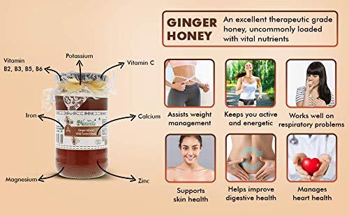 Farm Naturelle Farm Naturelle Healthy Ginger Infused Honey 300gm |100% Pure Honey| Raw & Unfiltered|Unprocessed|Lab Tested Honey In Glass Jar with Engraved Virgin Wooden Spoon