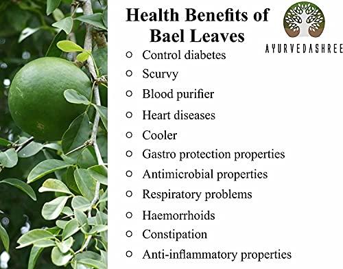 AYURVEDASHREE AYURVEDASHREE Bilva Powder - Bael Leaves Powder - Aegle marmelos - 200 Gm - Supports Proper Function of The Bowels