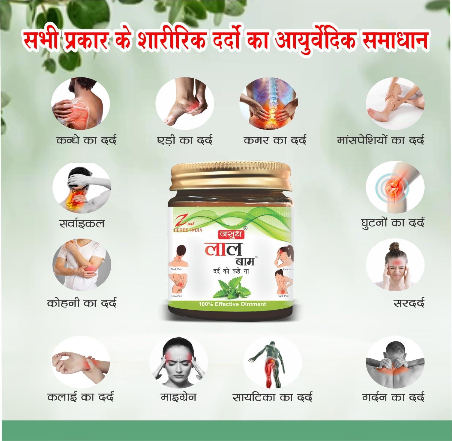 ZEAL HERBS INDIA Zeal Laal Strong Pain Relief Balm Made With Natural And Ayurvedic Formulation With Strong Smell (Big Size) 40gm Non- Sticky, Fast Absorption In Orange Color - 40 Gm (Pack Of 12Pcs)