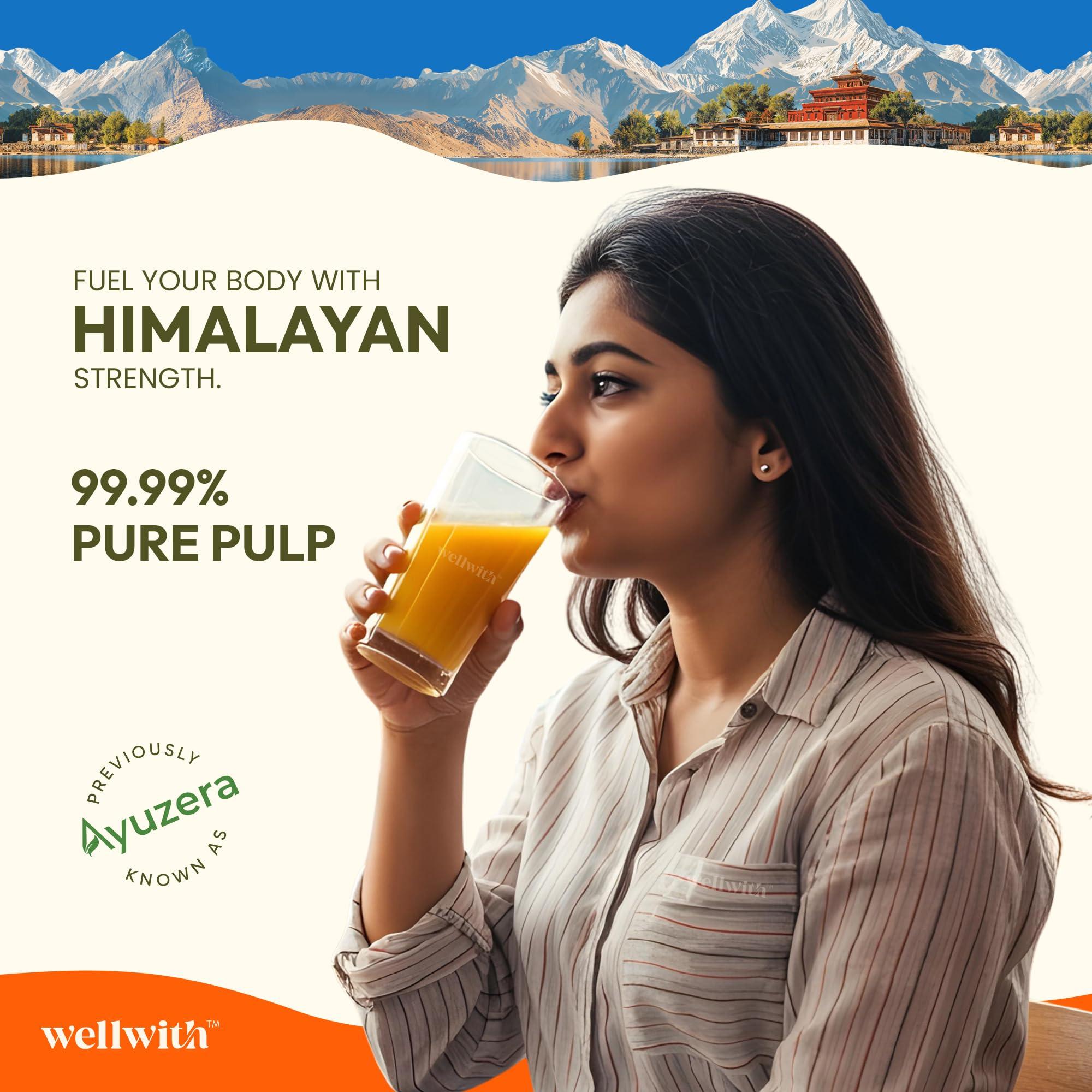 Ayuzera Ayuzera Himalayan Sea Buckthorn Pulp 300ml | Plant Based Vegan Omega 3, 6, 7 and 9 | Vegetarian Liquid Supplements | No Fish Oil | Veg, Natural & Organic | Makes up to 50 Glass Juice | Rich in Omega 7, Antioxidants, Vitamins (300ml, Pack Of 1)