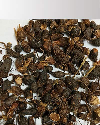 Griyaa stores Griyaa stores - korai kilangu/nagarmotha 250g