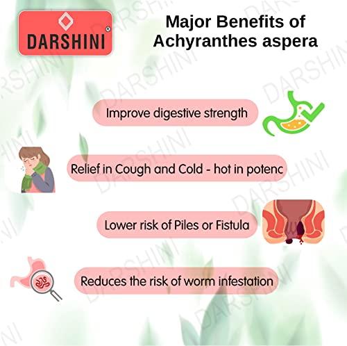DARSHINI Darshini Apamarga/Chirchira/Latjira/Aghada Powder, Pack of 2, 200gx2=400g