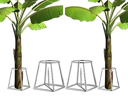 Stomata Gardens Stomata Decorative Banana Plant Stand for Ideal for Placing The Banana Plant/Tree/stem Stand for puja/Religious and Other Ceremonies Banana Leaf Stand for Pooja,Pack of (2)| banana stem holder