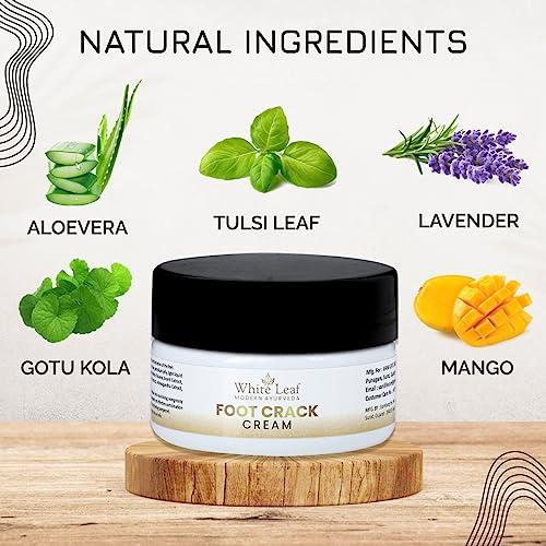 White Leaf White Leaf Foot Cream for Cracked Heels & Dry Feet, Foot Care Cream With Organic & Olive Oil, Moisturizing Healthy Feet for Men & Women - 50 gm