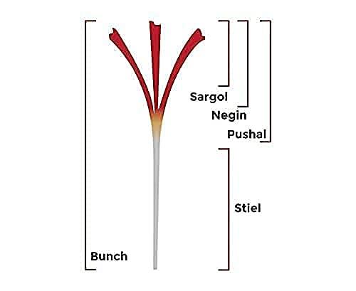 Popaji Popaji Pure Super Negin Saffron/Kesar Grade A+++ (10 GM)