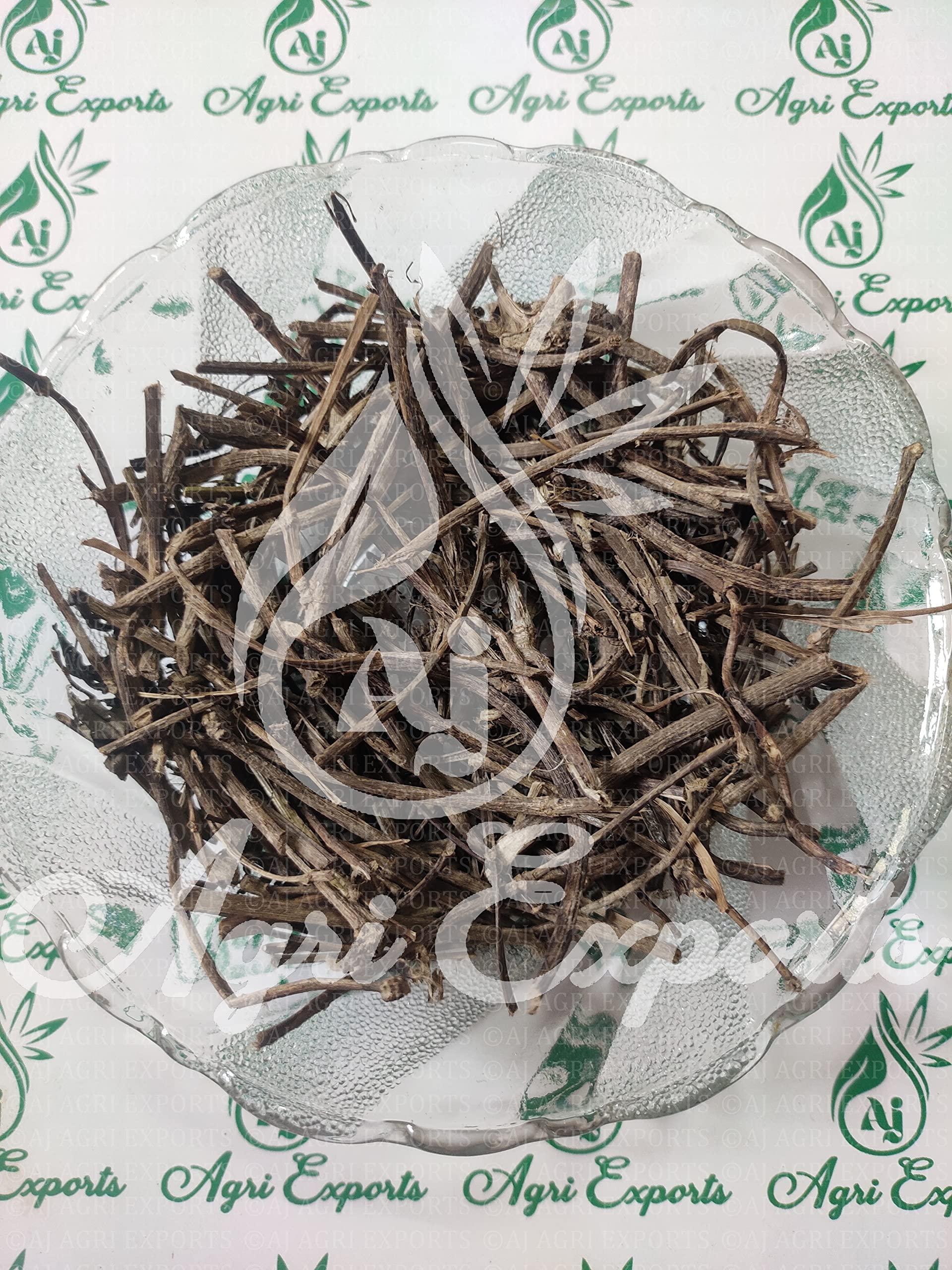 AJ AGRI EXPORTS AJ AGRI EXPORTS Gandh Prasarni - Gandha Prasarini - Gandh Prasaarani - Lokolast - Bhadai Lota - Gandhali - Prasarini - Paederia Foetida - (100Gram)