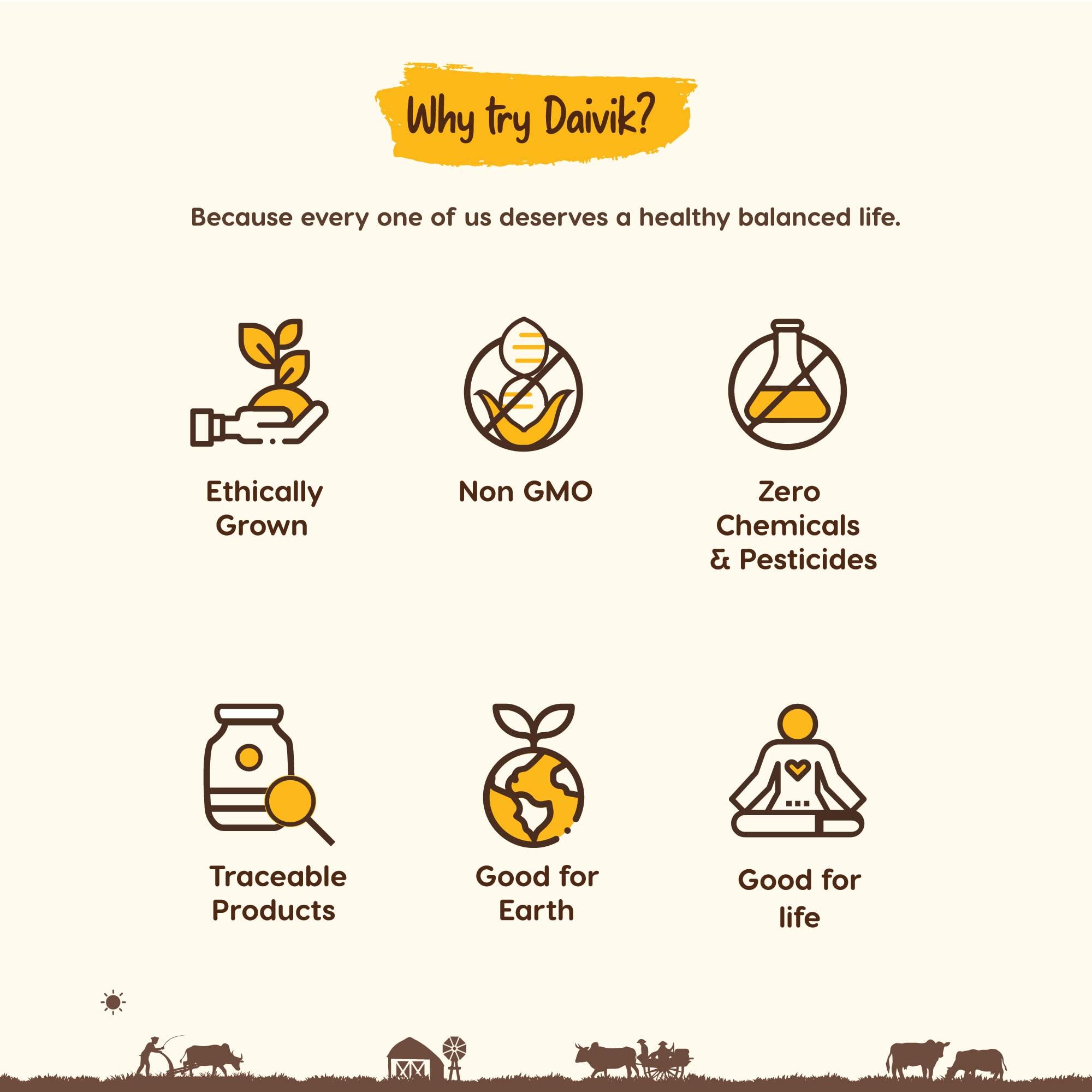 Biotic Biotic Natural Cinnamon Powder - Dalchini Powder (Ceylon) Dal Chini Powder for eating - 100 gm