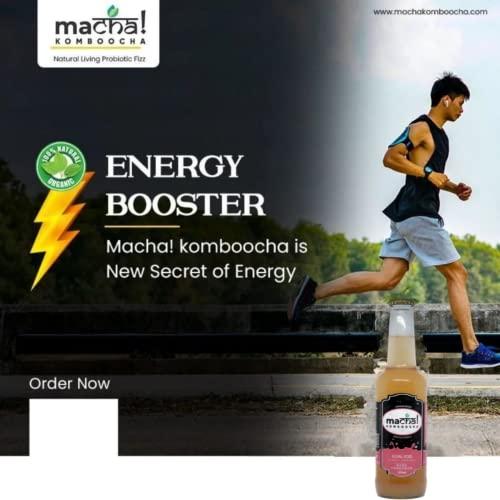 Macha! Macha! Komboocha - Kombucha Standard Flavor-Organic Probiotic Refreshment-Reenergizing Fermented Tea-Preservatives free Energy Drink, 275 ml (Pineapple Punch, Pack of 4)