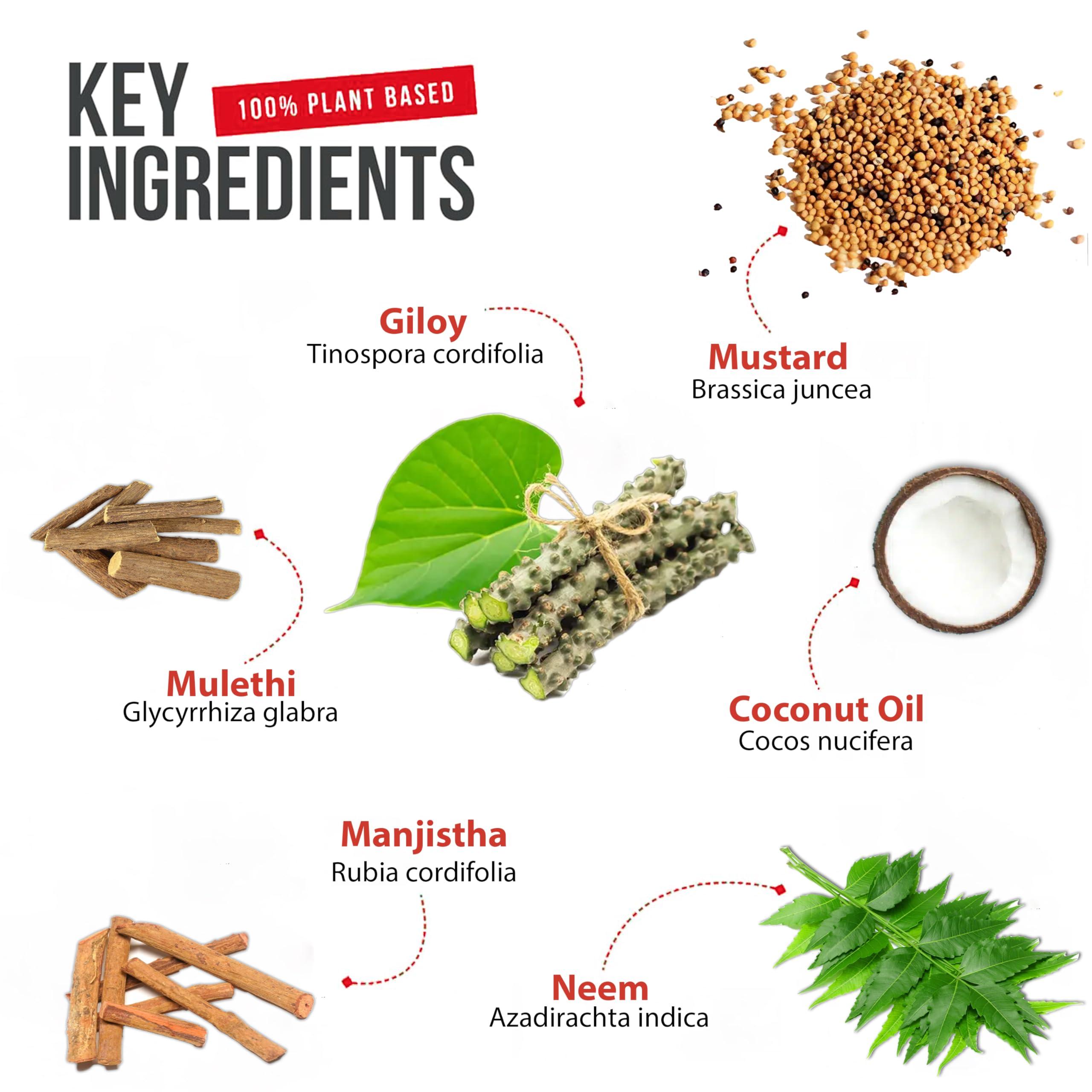 ETERNAL LIFE Eternal Life Eterno Pile Oil Pain Reduction Inflammation Reduction Herbal Oil Ayurvedic Remedy Recurrence Prevention Hemorrhoid Relief Natural Ingredients Anal Health Relief (Pack of 1, 30 Ml)