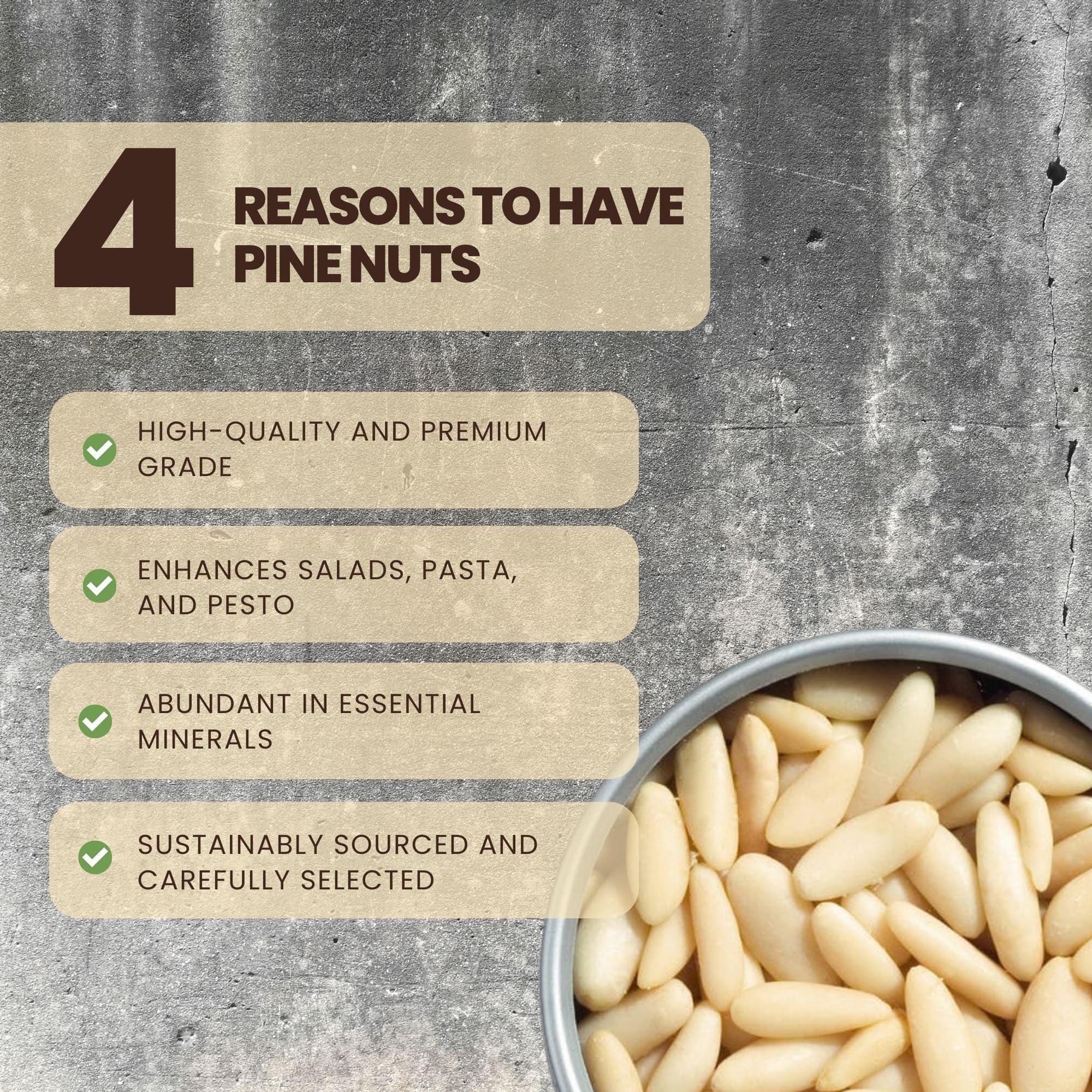 Notty Nuts -FOR A HEALTHY LIFE Notty Nuts -FOR A HEALTHY LIFE 100% Natural Pine Nuts without Shell 200gm | Chilgoza Giri | Chilgoja Seeds | Pine Seeds Jumbo Size Pure Dry Fruits