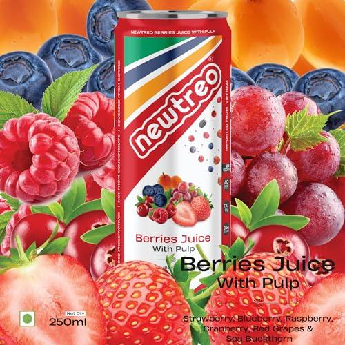 Newtreo Newtreo Berries Juice With Pulp | Imported from Vietnam | Strawberry, Blueberry, Raspberry, Cranberry, Red Grapes & Sea Buckthorn Juice | 12 x 250ml cans | No concentrates or preservatives added