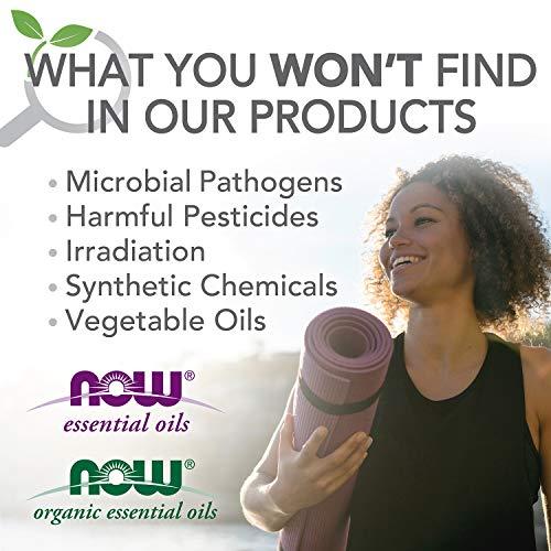 Now Foods Now Foods Pure & Organic Essential Oil Clove 1 Fl. Oz.