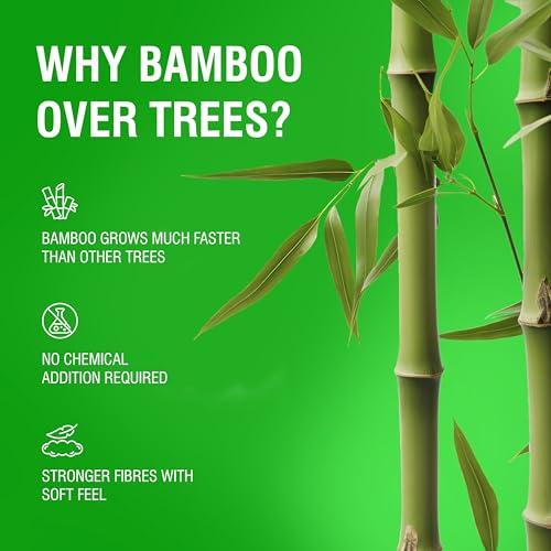 Beco Beco Bamboo Super Soft Facial Tissue 200 Pulls (Pack of 3), 600 Pulls 2 ply 100% Natural and Ecofriendly