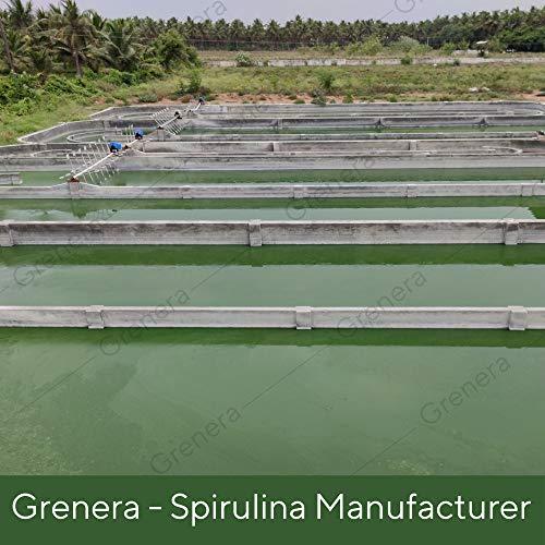 GRENERA Grenera Spirulina Powder, Rich in Protein, Vitamins, Minerals, Gluten Free, Vegan, Non GMO, 100 grams
