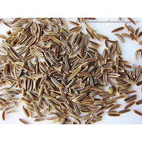 Dry Fruit Hub Dry Fruit Hub Shahi jeera 250gm, Afghan Jeera, Shah Jeera - Caraway Seeds - Carum Carvi - Shah JIRA - Shah Zira,Shahi Jeera For Biryani (Shahi Jeera 250gm)