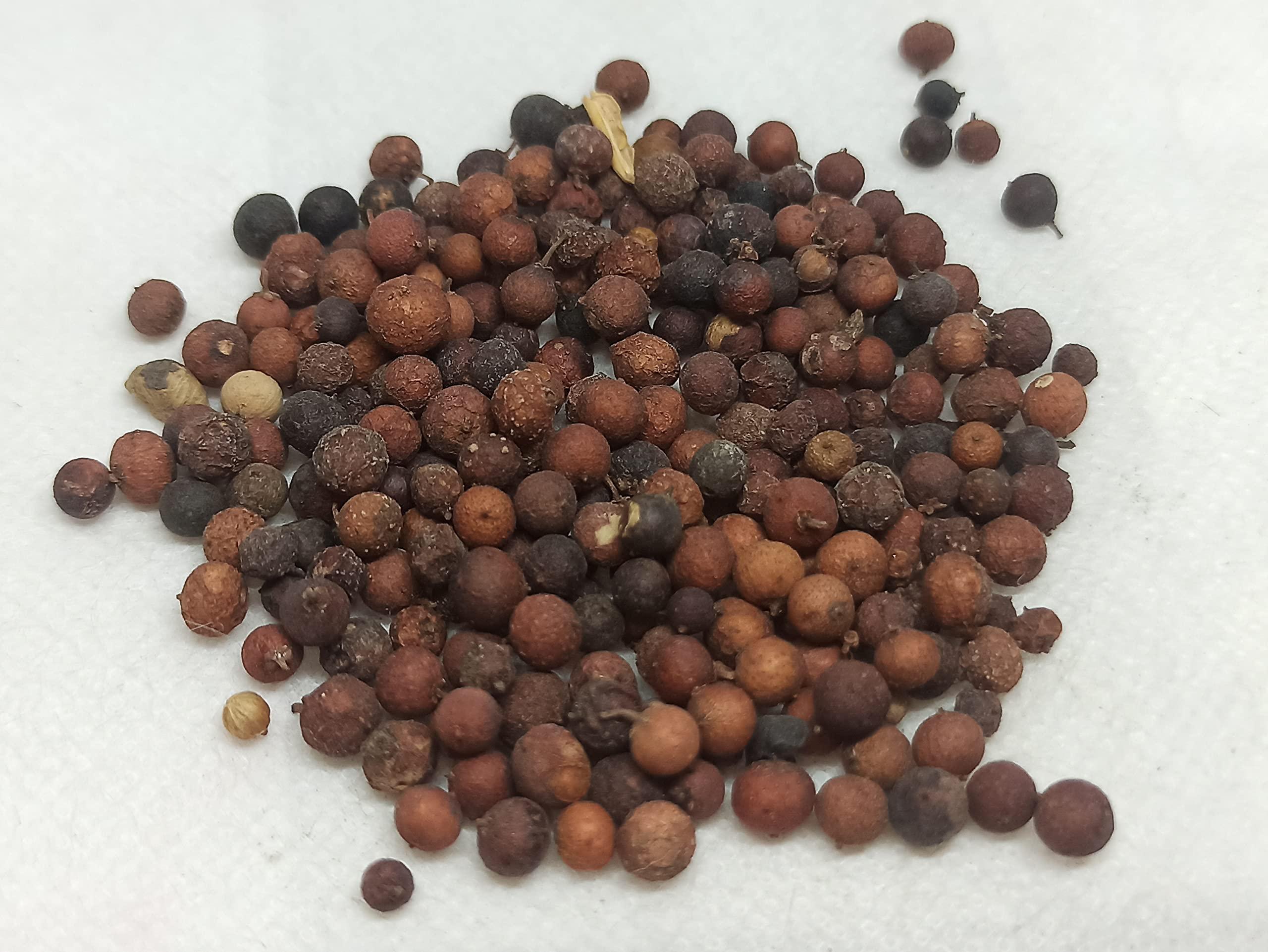 NavaFresh Basics NATURALIFE'S-*VAAI VIDAGAM*-FALSE BLACK PEPPER I Vilanga I vayu vilanga I Vay Vidang I Balbidang I Bhabhirang I Vayu Vidangalu I Vidang I Bidang I Bavidang I Bavidang I Bavadang (250 GRAMS)