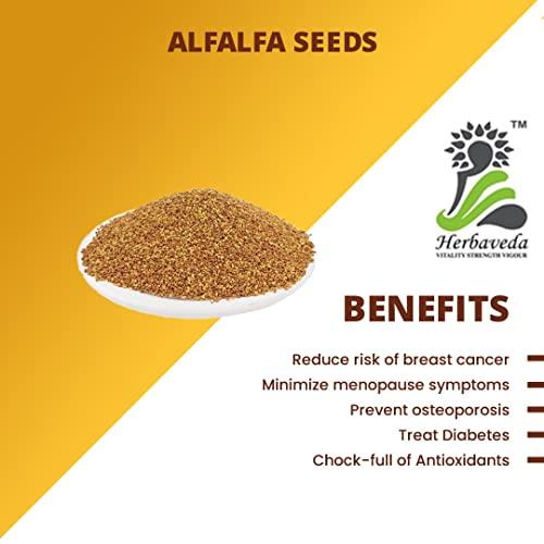 LEANBEING Herbaveda- Alfalfa 500g | Alfalfa Seeds for Sprouting| Alfa Alfa Seeds | Alfalfa Seeds for Eating