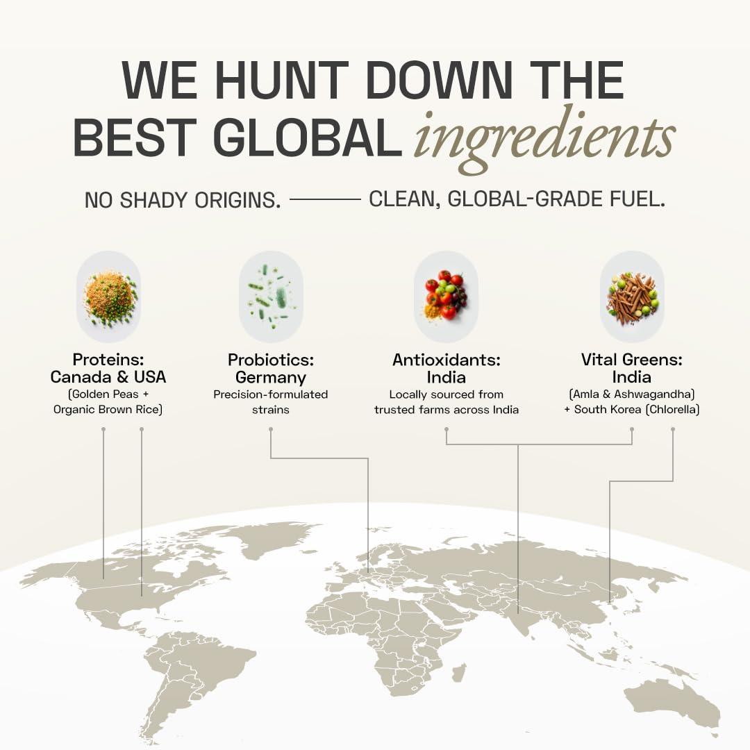 Ace Blend Ace Blend DAILY 20G Vegan Plant Protein Powder | 4 Servings | Raw Chocolate | 4 Vital Greens, 4 Antioxidants, 3 Probiotics | Blended for All Men & Women | 100% Gut Friendly