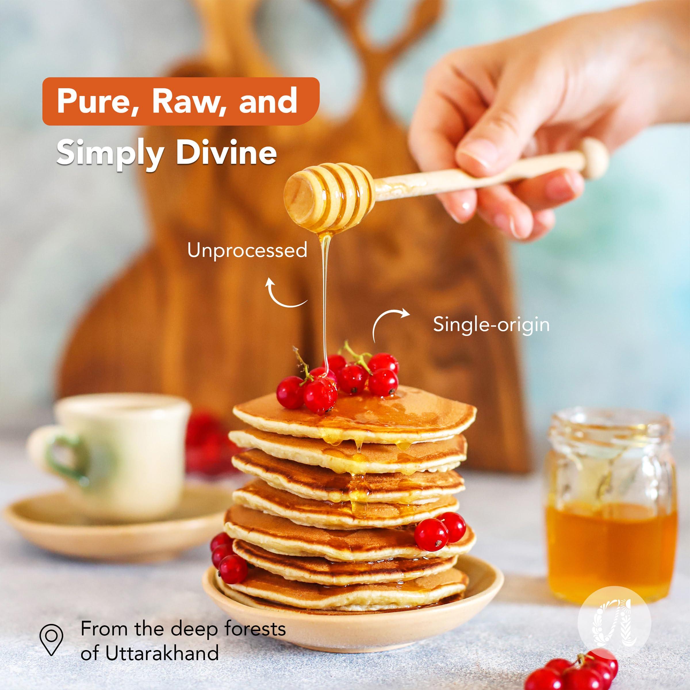 Anveshan Empowering farmers with technology Anveshan Wild Forest Honey 500g | Glass Jar | NMR tested | Raw & Unprocessed | No Added Sugar | Immunity Boosting