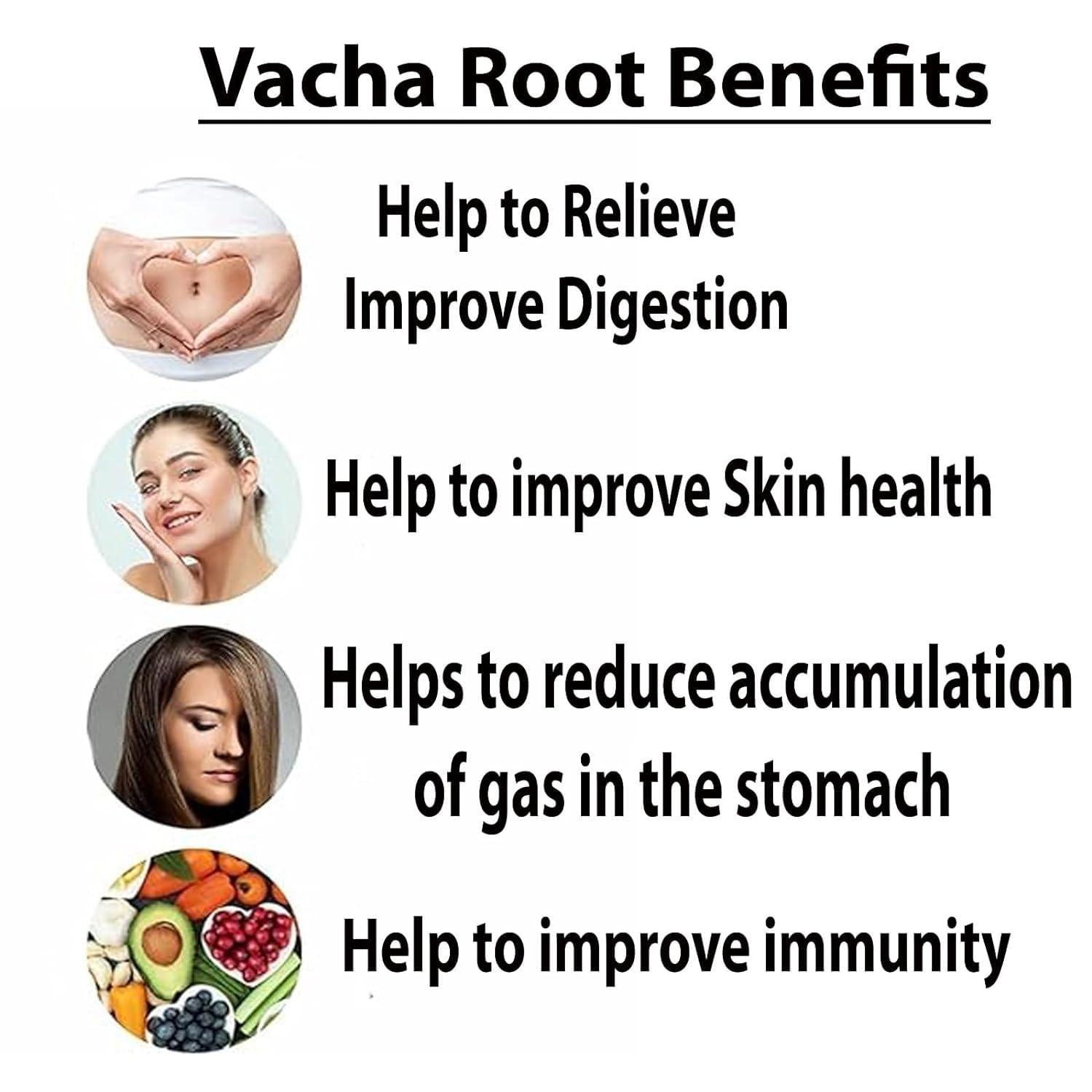 neotea Neotea Vasambu Vacha Root | Sweet Flag Acorus Calamus | Vayambu | Dried Root Herbal Supplement | Natural Sweet Flag Sambu Calamus | Vacha Acorus Calamus | Ayurvedic Remedy | 100% Pure & Organic 300 GM