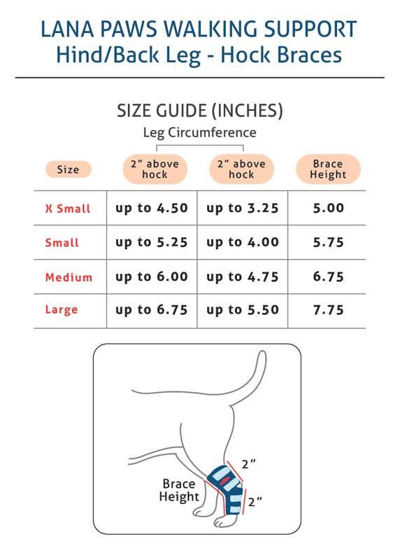 Lana Paws Lana Paws Dog Back Leg Slpint Braces for Hock Joint Support, Ankle Support & Mobility, S, Left Leg