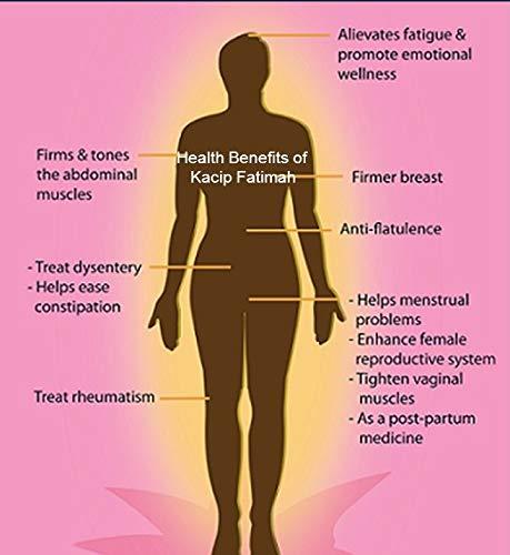 Mystique Hills - Organic Living Mystique Hills Organic Kacip Fatimah Powder for Women Health,Labisia Pumila,50 g