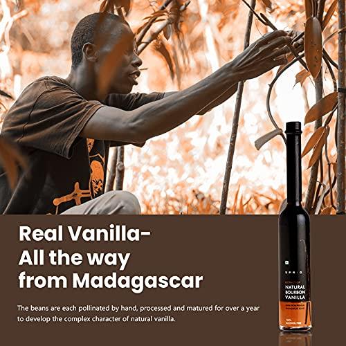 S P R I G Extract Of Natural Bourbon Vanilla | Natural Vanilla Extract | Better Than Chemical Vanilla Essence | For Chefs & Home Cooks | 100 Ml (Pack Of 2)