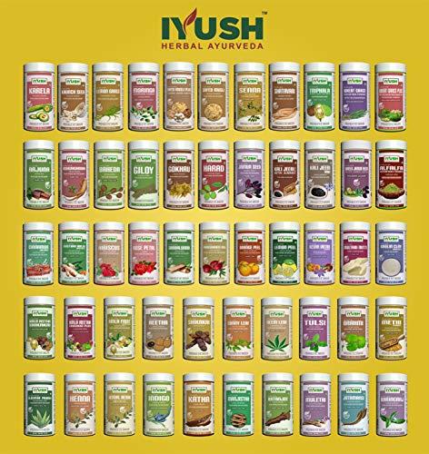 IYUSH Herbal Ayurveda IYUSH Herbal Ayurveda Gudmar/Gurmar Powder (pack of 2) - 100gm each