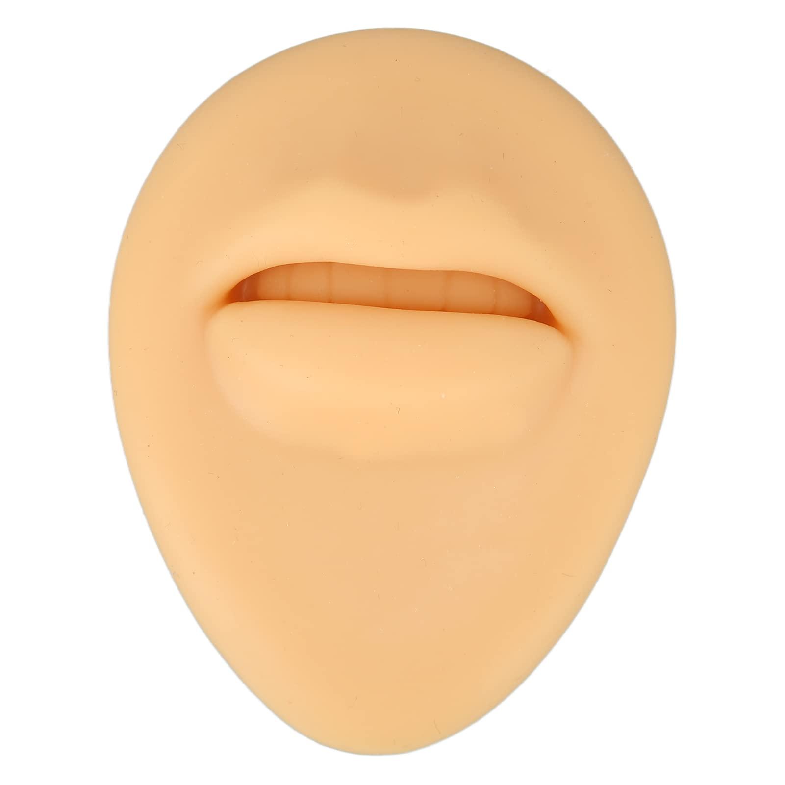 Generic Generic Fake Mouth Model, Lifelike Three Dimensional Teaching Tool Human Mouth Model Flexible for Body Part Display\'