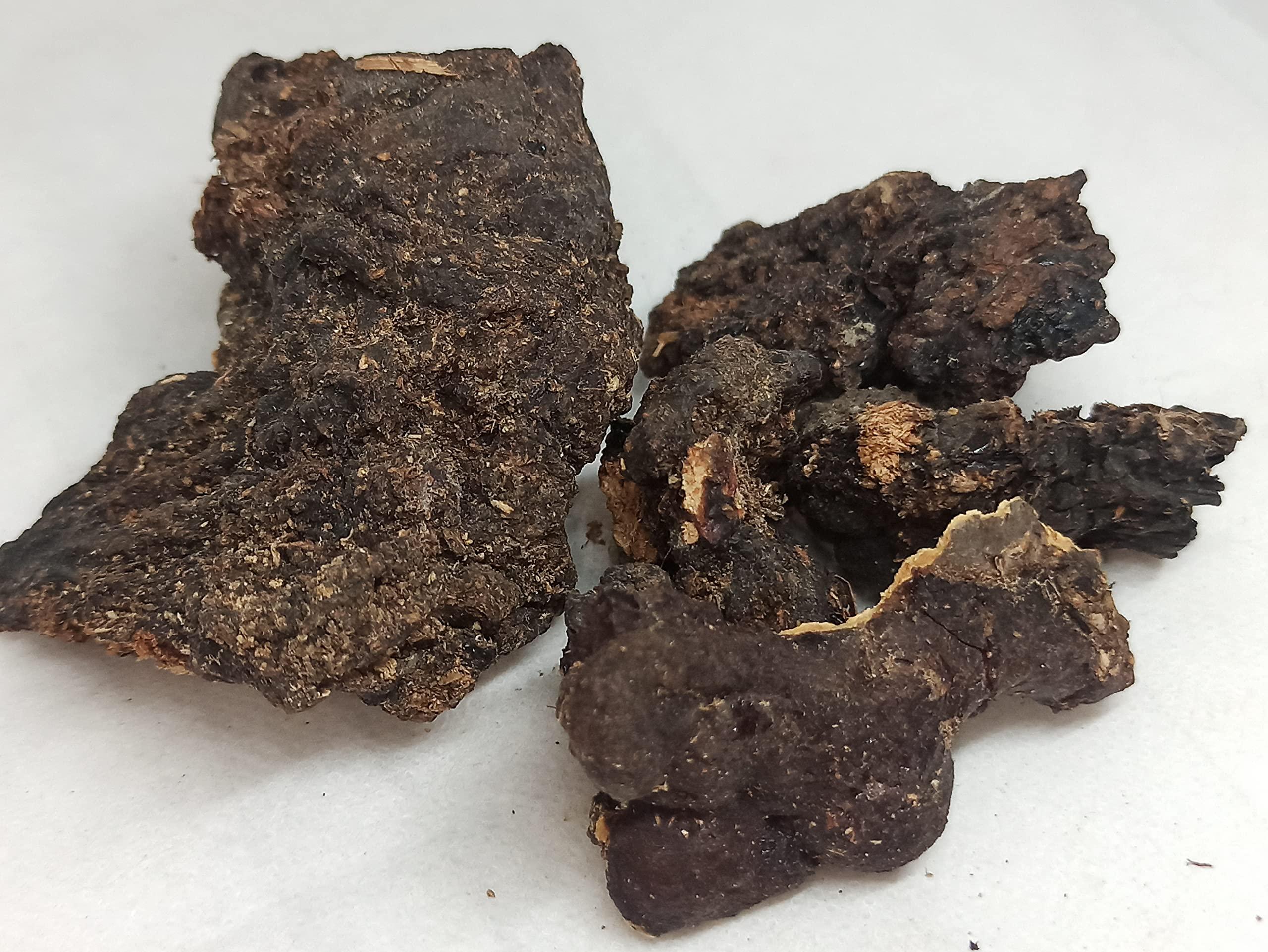 NavaFresh Basics NATURALIFE'S-*MURUNGA PISIN*- I Moringa Oleifera I Drumstick Tree Resin I Ahijan, Munaga I Senjana Pattee I Muringai I Mochakamu, Munagachettu (1000 GRAMS/1KG)