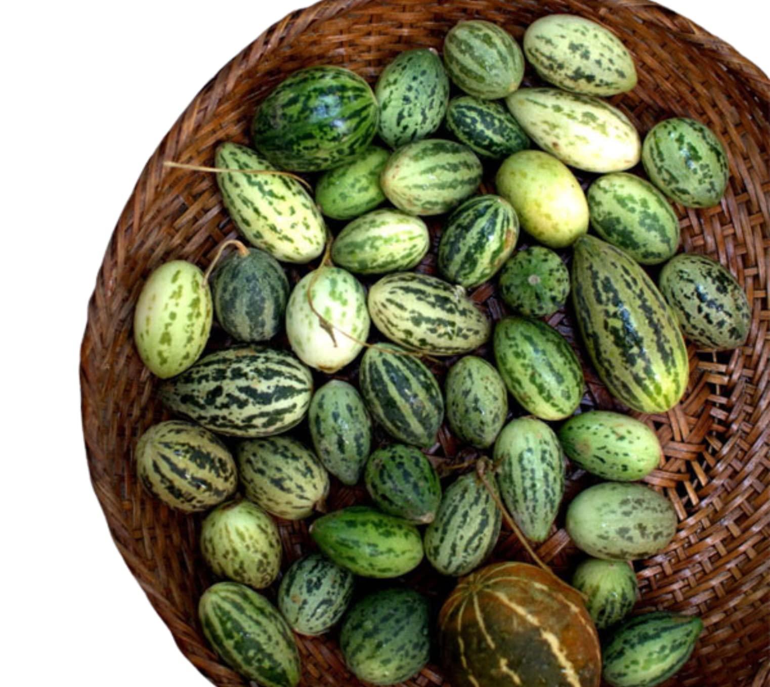 BARMER BAZAAR Barmer Bazaar Dry Kachri | Rajasthani Kachri dried | Kachri Sabut |Dry Kachri Whole Rajasthani Dry Wild Cucumber | Dry Kachari | Dry Kacher | Kachariya | Kachadi (Gotka Kachar) (200gm)