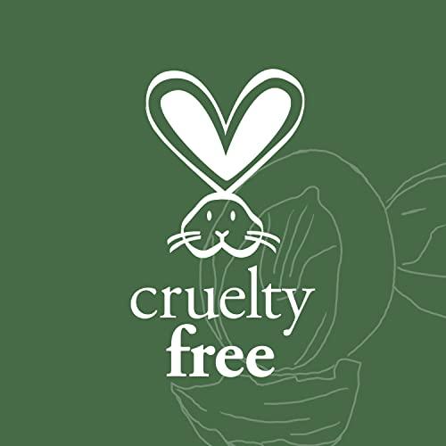 SHEA MOISTURE SheaMoisture Maracuja & shea butter full beard detangler, 4 Fluid Ounce