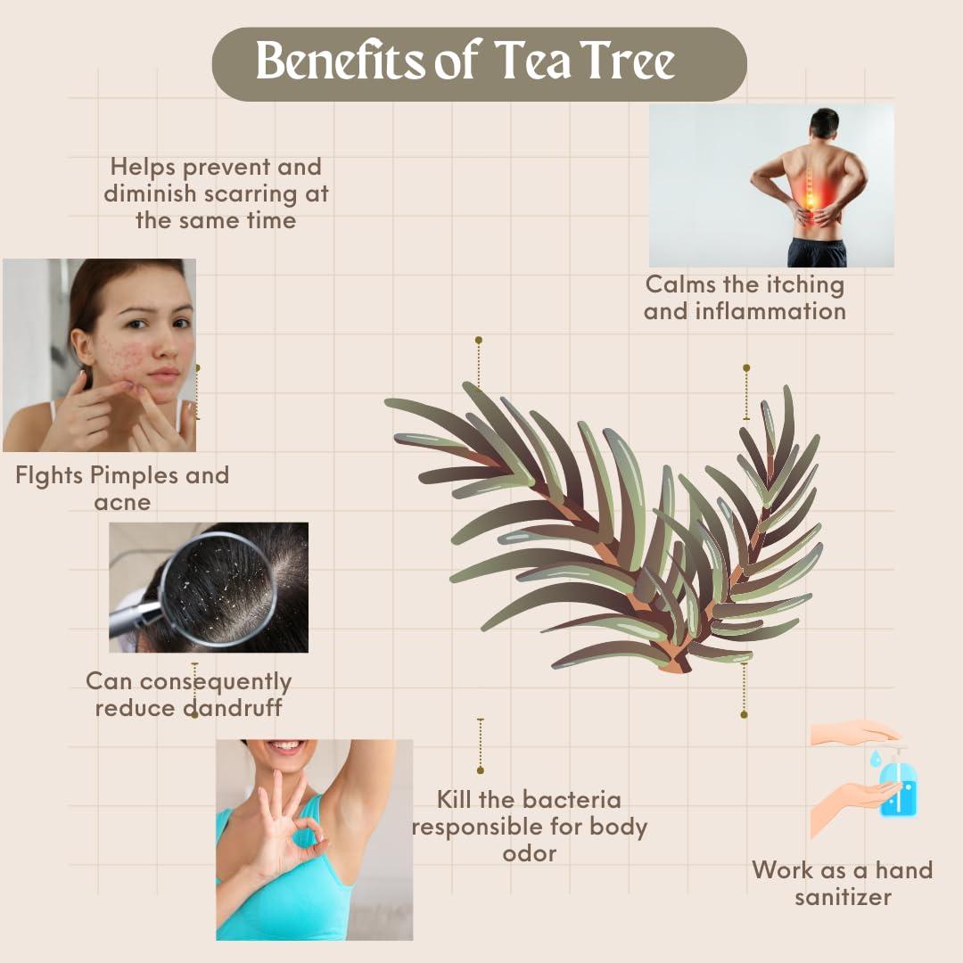 Nhazhoxx Tea Tree Essential Oil, 5 ml for Clear/Blemish Free Skin | Natural Essential Oil Therapeutic Grade for Acne