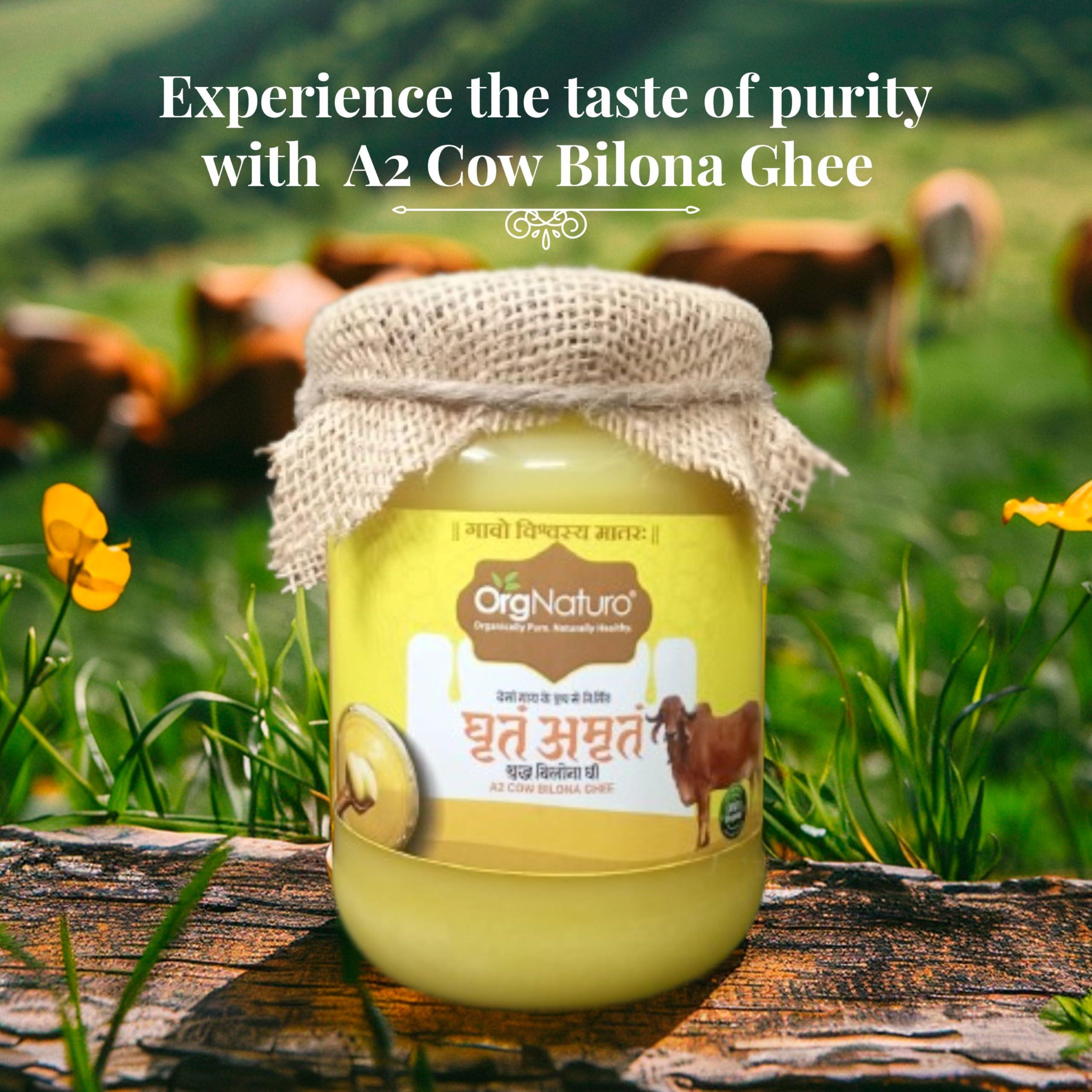 OrgNaturo OrgNaturo Pure Desi Cow Bilona Ghee - 500 Ml|Vedic Bilona Method|Traditional Hand Churned|100% Pure and Natural
