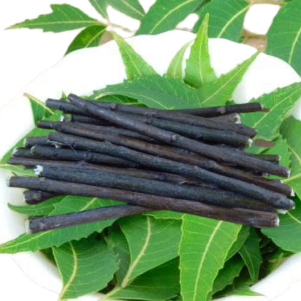 Generic Koorva neem datun twigs/neem sticks for brushing teeth/veppankuchi toothbrush Pack Of (11) Sticks