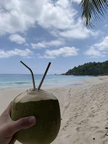 Greens Steel Stainless Steel Straw Set - Reusable Pack of 2 Curved & 2 Wider/ Straight Straws - For Smoothies, Coffee & Drinks - Cleaning Brush Included - Eco-Friendly Solution by Greens Steel (4, Medium)