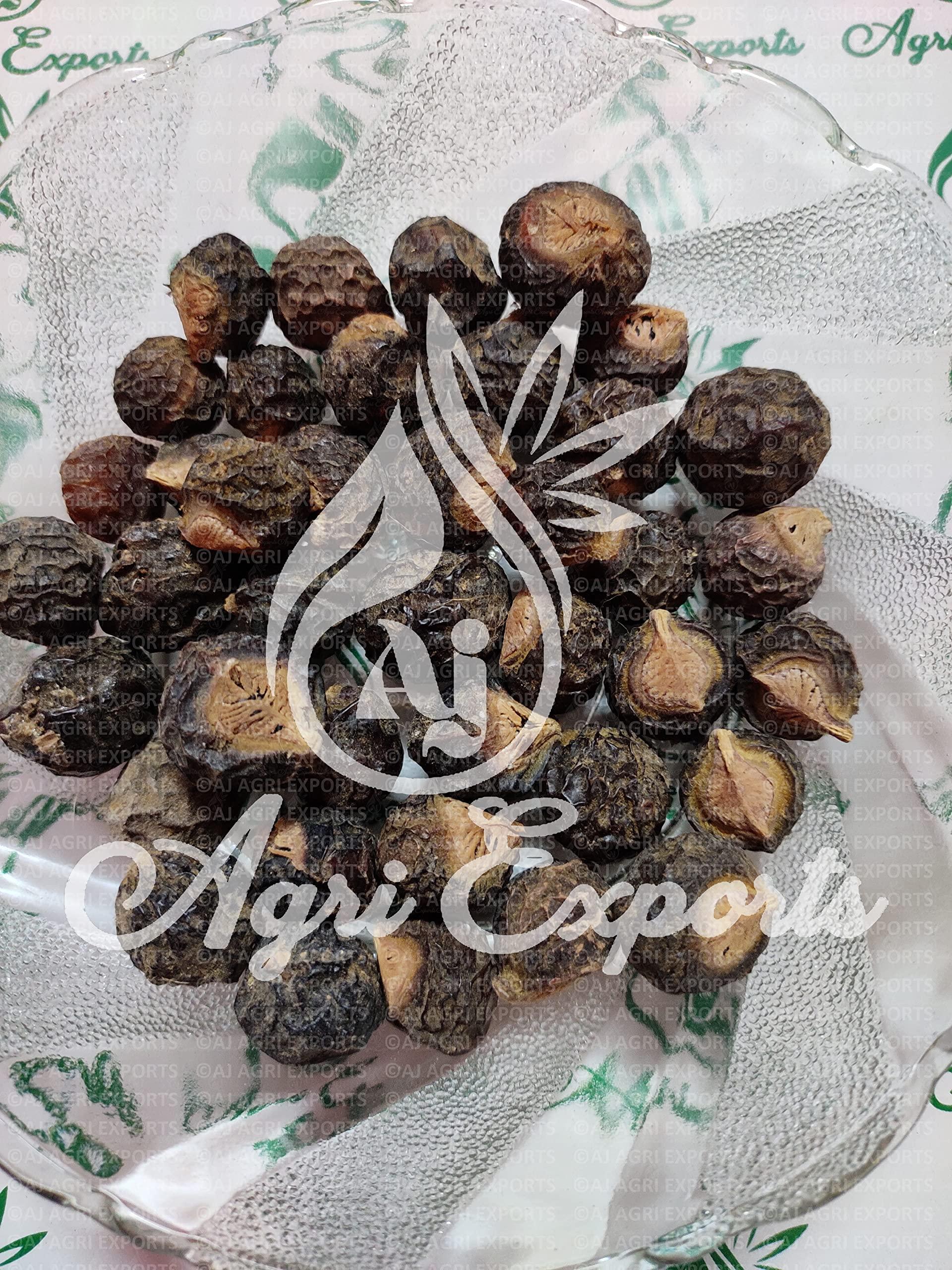 AJ AGRI EXPORTS AJ AGRI EXPORTS Reetha Small - Ritha Chota - Sapindus Mukorossi - Soapnuts - Aretha Chota - (100Gram)
