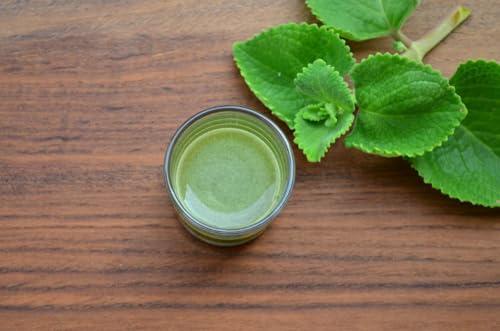 SAARA Saara HERBAL FRESH Karpooravalli Powder,100g, Coleus Amboinicus, Omavalli Leaves, Indian Borage, Patta Ajwain, Vamu Aaku, Panikoorka Leaves Powder,(pack of 1 x 100g)