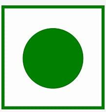 Agro Taste AGRO TASTE Elite Aroma Whole Cardamom Green Big 8mm Bolt 500gm | GROWN IN INDIA | Exotic Hari Elaichi | Export Quality | Authentic Sabut Ilaichi (500gm)