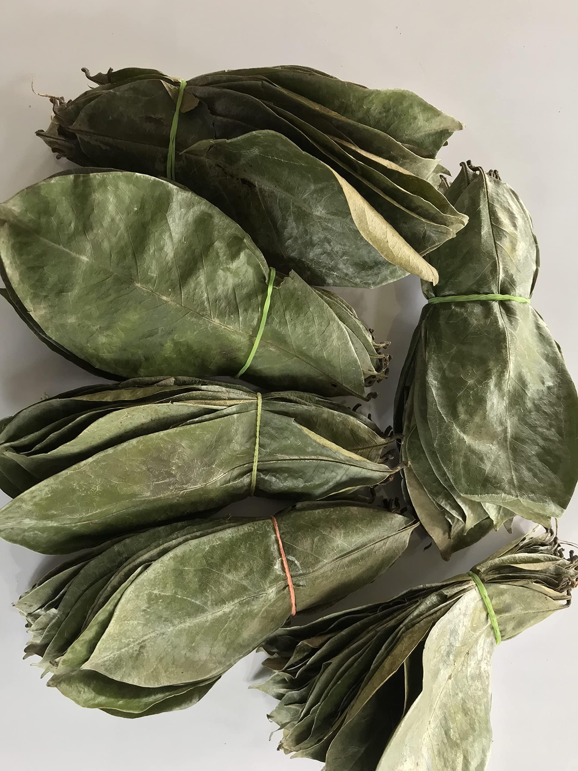 abamec Natural Graviola Soursop Guanabana shadow Dried 250 Leaves + 100 grams Soursop tree stems. (With printed preparation Instructions)