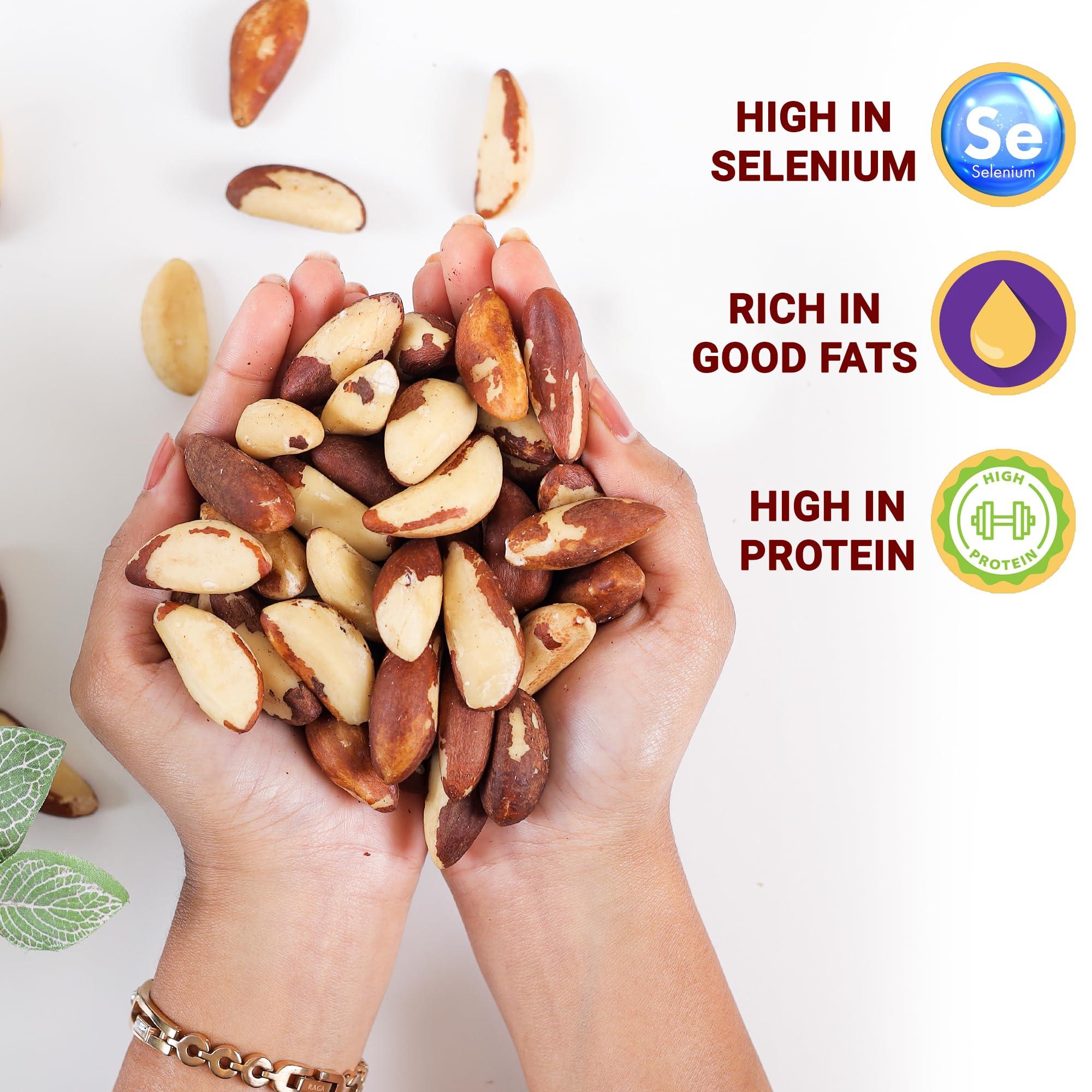 urban platter Urban Platter Exotic Brazil Nuts, 1Kg [ Grade A | Rich in Selenium]