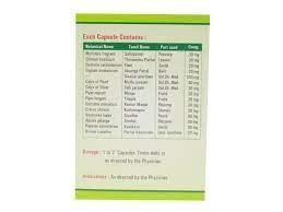 sanjeevi pharma Vizzle Syrup - Syrup, 100 Ml