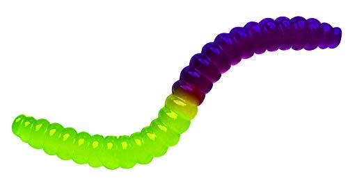 Thames & Kosmos Geek & Co. Science! Gross Gummy Candy Lab: Worms & Spiders Science Experiment Kit