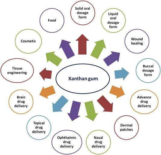 Siera Siera Xanthan Gum for Baking and Thickening Sauces 100% Natural. Perfect For Gluten-Free Baking, Cooking, xantham+gum, xanthan gum powder for food Gravies & Shakes. Non-GMO. -1Kg